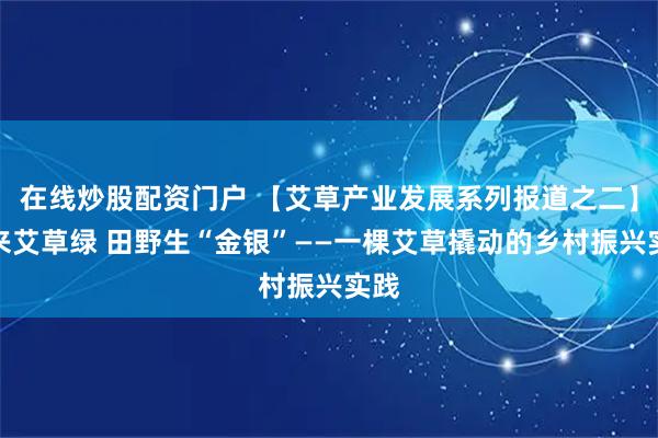 在线炒股配资门户 【艾草产业发展系列报道之二】春来艾草绿 田野生“金银”——一棵艾草撬动的乡村振兴实践