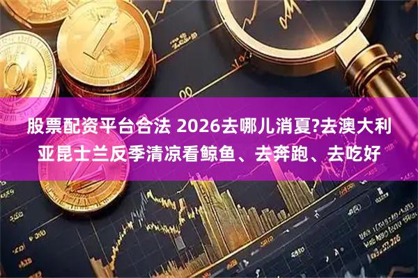 股票配资平台合法 2026去哪儿消夏?去澳大利亚昆士兰反季清凉看鲸鱼、去奔跑、去吃好