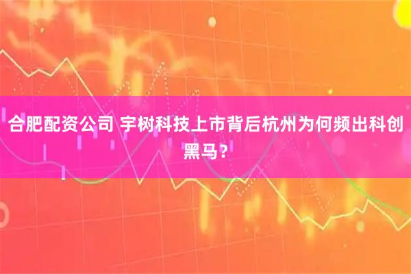 合肥配资公司 宇树科技上市背后杭州为何频出科创黑马？