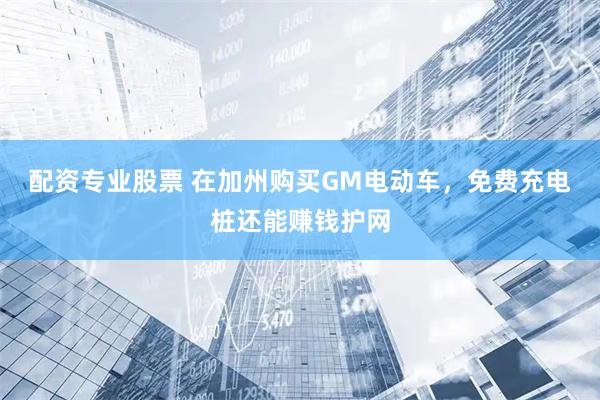 配资专业股票 在加州购买GM电动车，免费充电桩还能赚钱护网